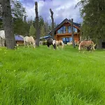 Naturstammhaus Und Zum Brockenbaecker *