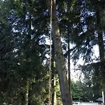 Naturstammhaus Und Zum Brockenbaecker Appartement