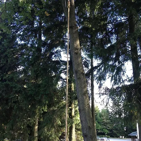 Naturstammhaus Und Zum Brockenbaecker Appartement