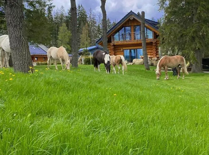 Naturstammhaus Und Zum Brockenbaecker *