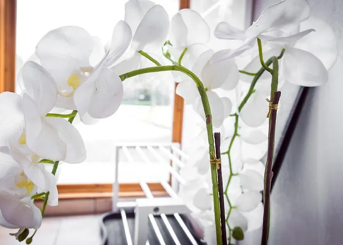 Naturstammhaus Und Zum Brockenbaecker *