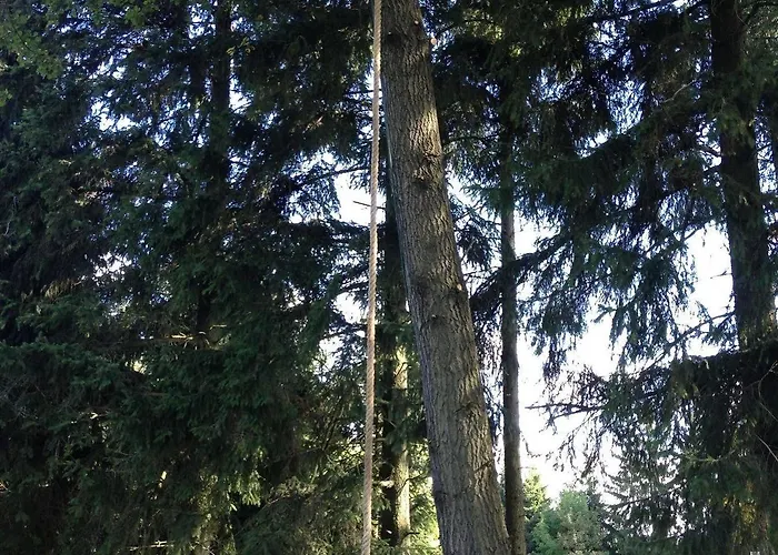 Naturstammhaus Und Zum Brockenbaecker Lejlighed