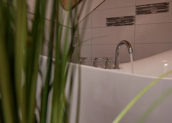 Naturstammhaus Und Zum Brockenbaecker Tanne